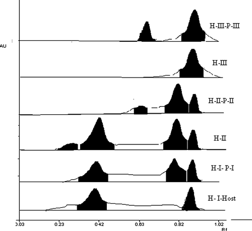Figure 1.  HPTLC chromatograms of flavonoid pattern of Dendrophthoe falcata parasitic on different host plants, recorded at 365 nm after treatment with NP reagent.H-I- Psidium guajava, (Rf 0.38, 0.89), H-I-P-I – D. falcata parasitic on P. guajava, (Rf 0.4, 0.8, 0.89), H-II- Mangifera indica, (Rf 0.25, 0.41, 0.81, 0.89), H-II-P-II- D. falcata parasitic on M. indica,( Rf 0.66, 0.8, 0.89) H-III – Melia azadirachta, (Rf 0.89) H-III-P-III- D. falcata parasitic on M. azadirachta, (Rf 0.69, 0.89).