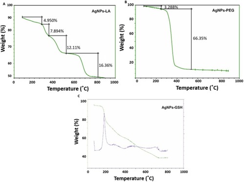 Figure 4 TGA analysis for (A) AgNPs-LA; (B) AgNPs-PEG; (C) AgNPs-GSH.Abbreviations: TGA, thermogravimetry analysis; AgNPs, silver nanoparticles; LA, lipoic acid; PEG, polyethylene glycol; GSH, glutathione.