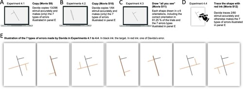 Figure 5. Stimuli, tasks and Davida’s performance for experiments of the fourth series (see Appendix 4.1–4.4 for detail). Movies S9–12, online, illustrate Davida performing the experiments 4.1–4.4.