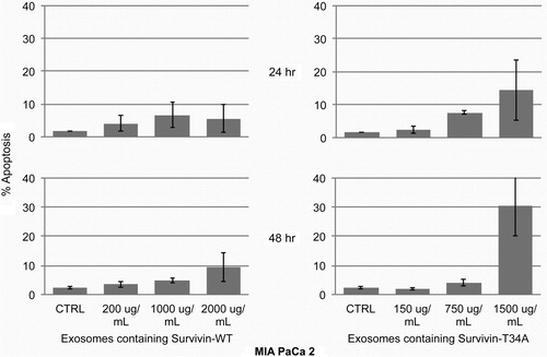 Fig. 4.  Histograms representing the percent apoptosis in MIA PaCa2 cells following exosome treatment for 24 and 48 hr. MIA PaCa 2 cells treated for 24 hr showed little to no increase in apoptosis after exosomes treatment. After 48 hr treatment, only 1,500 µg/mL of exosomes containing Survivin-T34A induced apoptosis (30.5%). Percent apoptosis was determined from sub-G1 DNA content analyzing propidium iodide staining by flow cytometry. Data are the mean±SD of 2 independent experiments.