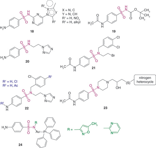 Figure 5. New 4-aminobenzenesulfonamides, compounds with the N,N-disubstituted sulfonamide group and sulfonamide complexes.