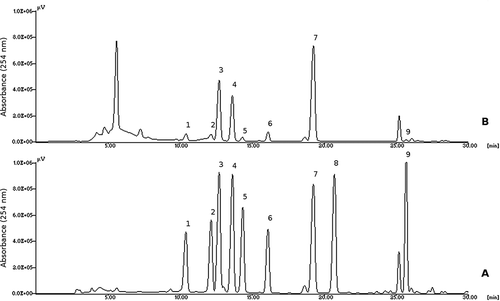 FIGURE 1 HPLC chromatograms of a standard solution (A) and of a cheese sample (B): 1, tryptamine; 2, 2-phenylethylamine; 3, putrescine; 4, cadaverine; 5, histamine; 6, 1,7-diaminoheptane (internal standard); 7, tyramine; 8, spermidine; 9, spermine.