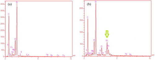 Figure 3. EDX spectrum of (a) montmorillonite and (b) SnII-Mont K10.