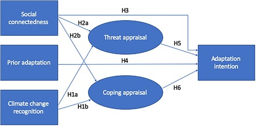 Figure 3. Model proposal with hypothetical pathways.