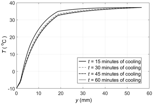 Figure 3. Temperature distribution across different layers of tissue when the skin surface temperature remains at −10 °C: — after 15 min of cooling, — after 30 min of cooling, – · – after 45 min of cooling, ··· after 60 min of cooling.