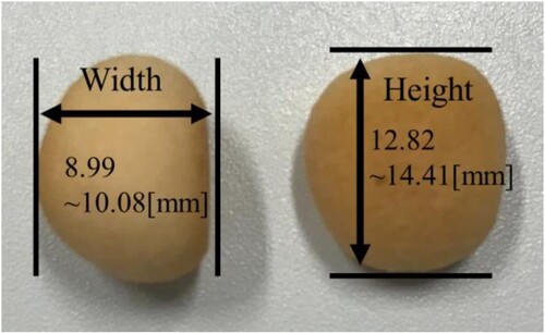Figure 3. Solid food pellets’ shape and size.