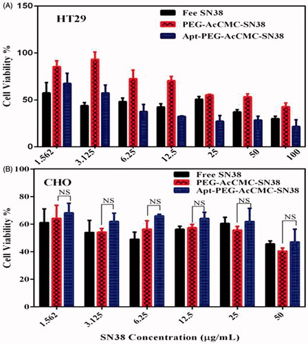 Figure 6. Cytotoxicity of Apt-PEG-AcCMC-SN38, PEG-AcCMC-SN38 and the free drug in (A) HT-29 cells as CD133 positive cell and (B) CHO cells as CD133 negative cell.