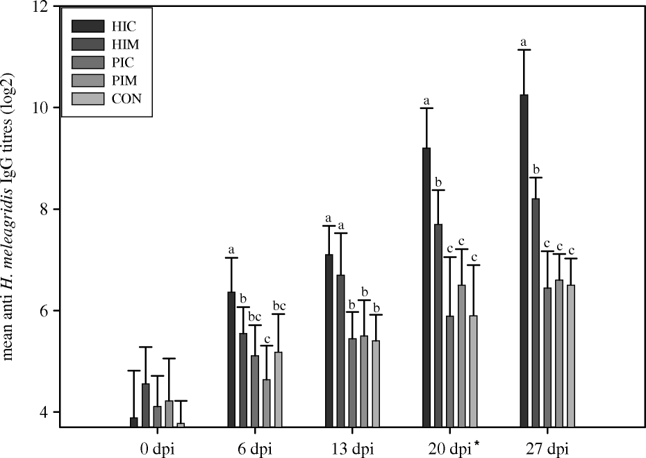 Figure 1.  Experiment 2: serum antibody responses of groups of turkeys after active immunization with H. meleagridis. Turkeys immunized at 0 d.p.i., with a booster at 20 d.p.i. (indicated by the asterisk). HIC, immunized by intracloacal infection with H. meleagridis; HIM, immunized intramuscularly with H. meleagridis antigens; PIC, immunized by intracloacal injection with H. meleagridis-negative liver and caecal homogenate; PIM, immunized as PIC but intramuscularly; CON, non-immunized control. Titres measured by indirect immunofluorescence. Different lowercase letters indicate significant differences between treatments at each time point.