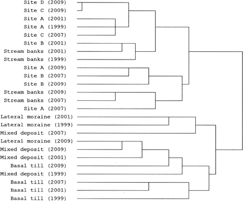 FIGURE 3 Dendrogram calculated by a hierarchical cluster analysis (average linkage between groups) showing the relative similarities of the carabid assemblages from the new terrain (sites A–D) and the old terrain sites (stream bank, lateral moraine, basal till and mixed deposit) of the Hornkees glacier foreland over the complete sampling period (1999, 2001, 2007, and 2009). In total, 25 chrono-sites were investigated; sampling year is given in parentheses. The beetle assemblages of the stream bank sites are intermixed with those of the new terrain (sites A–D) in one clade, while the beetle assemblages of the remaining old terrain sites form a separate clade.