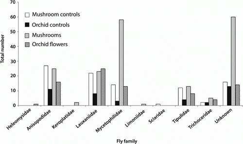 Figure 2  Number of flies per fly family trapped above mushrooms, near mushrooms (mushroom controls), above flowering Corybas cheesemanii (orchids) and above non-flowering C. cheesemanii plants (orchid controls).