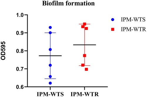 Figure 1 Levels of biofilm formation between wild-type susceptible and resistant isolates. IPM-WTS, wild-type imipenem susceptibility strains; IPM-WTR, wild-type imipenem resistance strains.