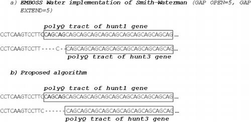 Figure 10. Detection of glutamine (CAG) indels in spliced mRNA of Homo sapiens huntingtin gene by applying Smith–Waterman (a) and the proposed algorithm (b).
