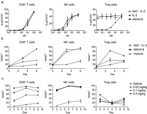 Figure 2. ANV419 preferentially stimulates CD8+ T cells and NK cells with reduced potency for Treg cells. (a) percentage of phosphorylated STAT5 (pSTAT5)-positive cells out of the parent cell population (CD8+ T cells, NK cells and Treg cells) of mouse splenocytes after 15 min stimulation with a dilution series of IL-2 fusion protein to Antibody C (linker lengths 3, 4), IL-2 (aldesleukin) or ANV419. n = splenocytes from 3 mice, mean ± SEM is shown. (b) percentage of Ki67-positive cells out of the parent population measured in blood from C57BL/6 mice administered with 0.2 mg/kg compound or vehicle control on day 0. n = 3 mice, mean ± SEM (c) percentage of Ki67-positive cells out of the parent population measured in blood from C57BL/6 mice administered with increasing concentrations of ANV419. n = 3 mice, mean ± SEM is shown. NK, natural killer; Treg, regulatory T cells; SEM, standard error of the mean.