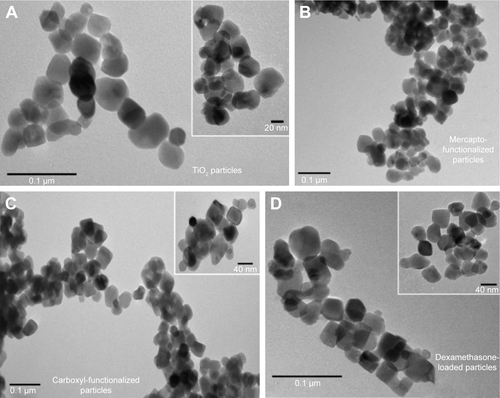Figure S1 Examples of transmission electron microscopy (TEM) images of different surface-modified TiO2 particles: (A) TiO2 particles, (B) mercapto-functionalized, (C) succinylated mercapto functionalized, and (D) dexamethasone-loaded TiO2 particles.