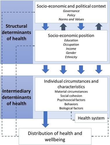 Figure 1. The CSDH conceptual framework (adapted from CSDH, Citation2008).