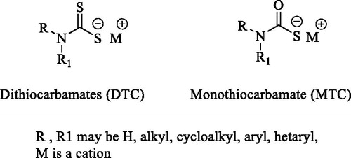 Figure 1. General structures of dithiocarbamates (DTC) and monothiocarbamates (MTC).