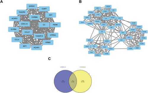 Figure 5 Two most significant module in the protein–protein interaction (PPI) network analysis (A) First module in the PPI network. (B) Second module in the PPI network. (C) Venn diagram used to identify cross genes.