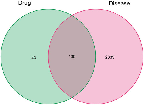 Figure 2 Venn diagram of potential targets of ZJP and pancreatic cancer-related genes.