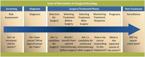 Figure 1. This graphic gives a patient a top-level view of their progression from an initial screening, chemotherapy, surgery, and surveillance after resection. Radiomics serve as a diagnostic and prognostic tool, which can be applied at many different timepoints in oncologic care. Use of this technology in the diagnosis stage, treatment planning stage, and surveillance stage can complement traditional oncologic care and help personalize treatment options for patients with solid tumors [Citation23].
