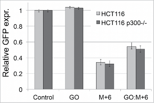 Figure 7. Effect of p300 depletion on base excision repair. HCT116 and its p300 knockout derivative HCT116 p300−/− were transfected with undamaged plasmid (Control), plasmid with incorporated 8-oxoG (GO), and 2 plasmid constructs, M+6 and GO:M+6 used to monitor repair of 8-oxoG through the LP-BER pathway. Relative expression levels represent the mean of triplicate experiments performed in duplicate.