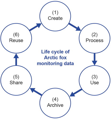 Figure 4. Simplified data life cycle of an Arctic fox monitoring project. Figure modified from British Ecological Society (Citation2014). Available in colour online.