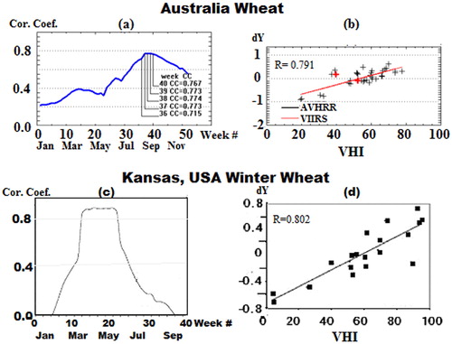 Figure 5. Modeling mean Australia wheat yield (1981–2014) and mean Kansas (U.S.A.) winter wheat yield (1985–2005) anomaly (dY, deviation from technological trend): (a) and (c) correlation of dY with weekly VHI, (b) and (d) correlation of independently modelled dY with VHI for week 38 in Australia and weeks 15–18 in Kansas (U.S.A.). Note: Area mean VHI data were calculated from 4 km resolution pixels in Australia and 16 km resolution pixels in Kansas (U.S.A.); R – correlation coefficient.