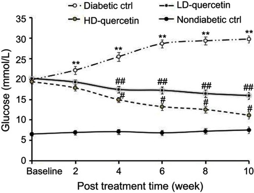 Figure 2 Effect of quercetin on the blood glucose concentration of mice after administration for 10 weeks. **,##P<0.01 or #P<0.05, compared with non-diabetic control group; #P<0.05 or ##P<0.01, compared with diabetic control groups; #P<0.05, compared with LD-quercetin group.