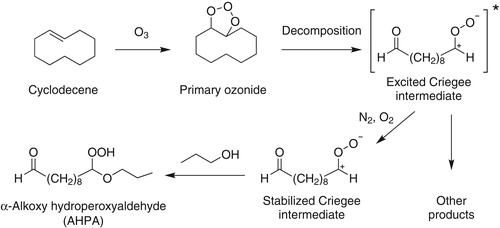 Figure 2. Mechanism of reaction of cyclodecene with O3 in the presence of 1-propanol to form 10-n-propoxy-10-hydroperoxy decanal (AHPA).