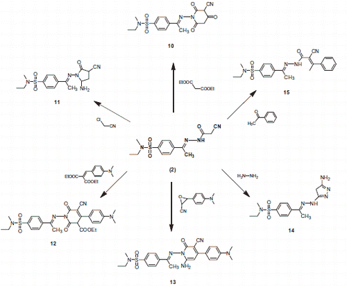 Scheme 3. Synthesis of piperidine 10, pyrrolidine 11, tetrahydropyridine 12, pyridine 13, pyrazole 14 and hydrazone 15 derivatives.