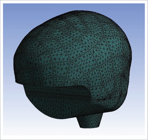 Figure 3. Finite element mesh for simple brain tissue.
