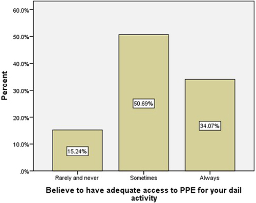 Figure 2 Perception about access to adequate PPE among health professionals.