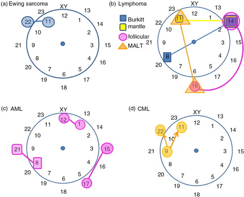 Fig. 1 Chromosome clock model (CCM) and the visual mapping of chromosome translocation. The chromosome translocation was presented according to diseases: Ewing Sarcoma (a), lymphoma (b), acute myelogenous lymphoma (c), and chronic myelogenous lymphoma (d).