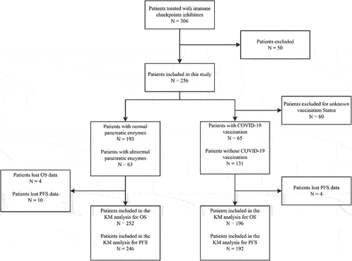 Figure 1. Flowchart diagram of patient selection.