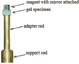 Figure 5 Whey protein isolate gel specimen mounting.