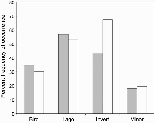 Figure 3 Percent frequencies of occurrence of prey categories in scats of male stoats (filled columns, n = 154) and female stoats (open columns, n = 46), Tasman Valley 2000–2002. Lago = lagomorph, Invert = invertebrate, Minor = minor components combined.