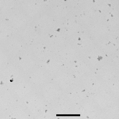 FIG. 5. TEM images of the residue of the smoke particles generated by silicone rubber. The reference length scale at bottom of the image is 2 μm in length.