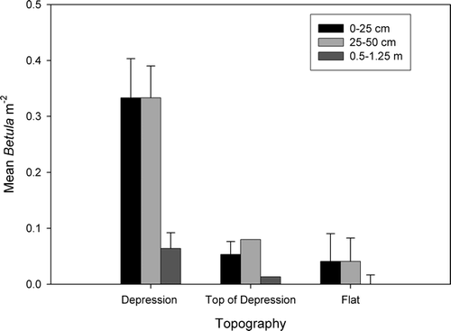 Figure 4 Association of Betula litwinowii with topographical depressions on ridgetop meadows. Bars represent mean number of individuals (according to height) observed in 1 m2 transects rooted either (1) within a topographical depression, (2) on top of the raised soil within a polyhedral depression, or (3) on flat soil (not associated with a depression).