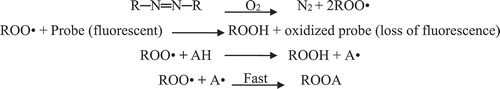 Scheme 4. Reaction mechanisms in ORAC method.