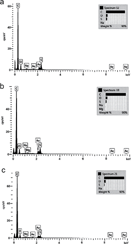 FIGURE 5 SEM-EDS spectrum for the a) pristine reference membrane, b) membrane exposed to process water and c) membrane exposed to MF permeate.