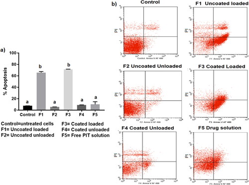 Figure 7. (a) Percentage apoptosis in 2D HepG2 cells after incubation of LF-coated loaded bilosomes(F3) and its counter uncoated bilosomes (F1), LF-coated unloaded bilosomes(F4) and its uncoated analogue (F2), and the free drug solution (F5) for 48 h. (b) Normal cells served as negative controls. (V (−)/PI (−), living cells; V (+)/PI (−), early apoptosis; V (+)/PI (+), late apoptosis; V (−)/PI (+), necrotic cells). Statistical significance occurred at level of significance p ≤ .05 when all groups were compared to the control with mean values a < b.