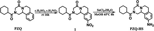Figure 1. Hapten synthesis of PZQ-HS.