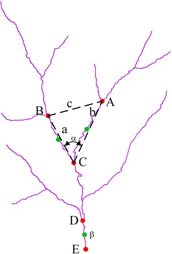 Figure 5. Example of river network confluence angle.