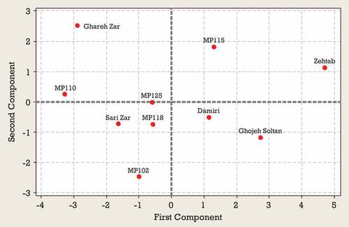 Figure 6. Score plot of Green gage genotypes for the first two PCAs at the third harvest time.