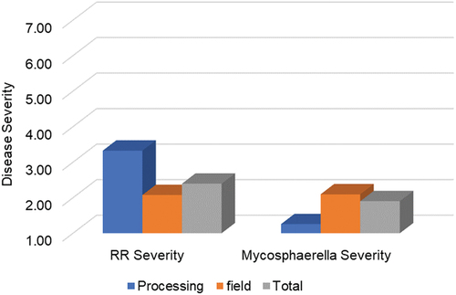 Fig. 3 Severity of root rot and mycosphaerella blight in processing and field peas in Alberta in 2023.