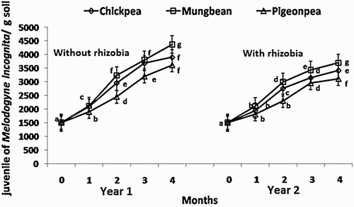 Figure 1. Effect of inoculation withMesorhizobiumciceri, Bradyrhizobiumjaponicum and Rhizobium spp. on the monthly soil population of juveniles of Meloidogyne incognita.