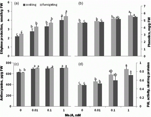 Figure 4.  Ethylene production (a), total phenolics (b), anthocyanins (c) contents and PAL activity (d) in 15-day-old tomato seedlings raised from seeds pretreated by 60 min soaking in water (control), or MeJA solutions (▪) or 24 h gasified 14-day-old seedlings (□) Vertical bars indicate ±SD. Means with common letters are not significantly different at p<0.05 according to Duncan's multiple range test. Statistical analysis was carried out separately for soaking and fumigating.