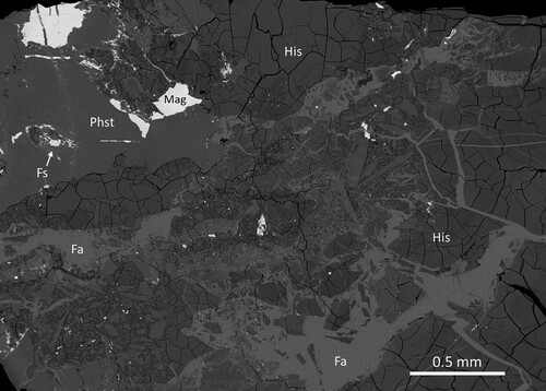 Figure 2. Backscattered-electron SEM image of a polished section of the hisingerite specimen from Gillinge, GEO-NRM #19205376. Mineral symbols: Fa = fayalite, Fs = ferrosilite, His = hisingerite, Mag = magnetite, Phst = potassic-hastingsite.