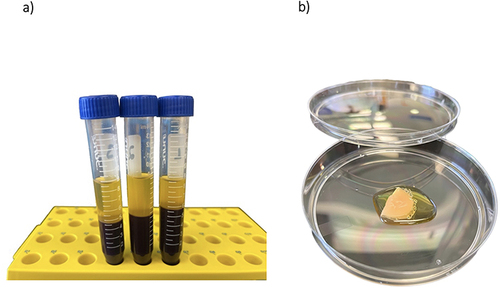 Figure 1 (a) L-PRP and (b) L-PRP gel mesh obtained from the whole blood of healthy subjects.