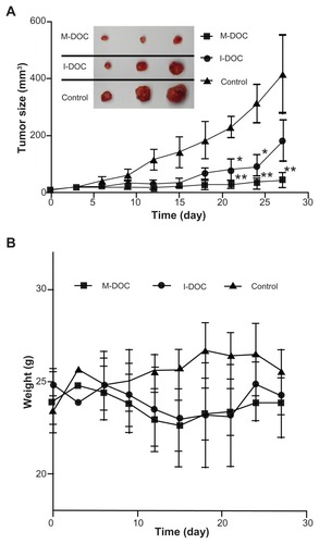 Figure 2 (A) Tumor growth curves and representative images of a harvested M2L tumor (left panel). The mice were intravenously injected four times (on days 0, 7, 14, and 21) with the formulations at a dose of 10 mg docetaxel/kg−1 and 0.2 mL normal saline as a control. Tumor size was measured using a caliper, and tumor volume was determined as described in the Materials and methods section at the same intervals for 28 days. The representative tumor images in the left panel were taken on day 28. The results show means ± SD (n = 5 mice/group). (B) Body weight changes in M2L-bearing nude mice treated with different formulations.Notes: Data represent means ± SD (n = 5 mice/group). *P < 0.05, **P<0.01 as compared to the no-treatment control group.Abbreviations: SD, standard deviation; M-DOC, nanomicelle-loaded docetaxel; I-DOC, docetaxel injection.