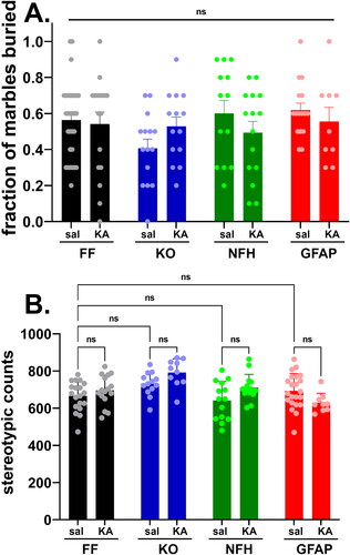 Figure 4. Stereotypic behavior is not altered by Panx1 and early-life seizures. Means ± sem values of the (A) fraction of buried marbles and (B) number of stereotypic counts measured from 2 months old Panx1f/f (FF), global Panx1 knockout (KO), NFH-Cre:Panx1f/f (NFH), and GFAP-Cre:Panx1f/f (GFAP) mice, injected with saline (Sal) and kainic acid (KA) at age P21. In part A, values were obtained from 30 FFsal, 17 FFKA, 15 KOsal, 13 KOKA, 10 NFHsal, 15 NFHKA, 16 GFAPsal, 9 GFAPKA mice. In part B, values were obtained from 19 FFsal, 16FFKA, 15 KOsal, 14 KOKA, 14 NFHsal, 14 NFHKA, 22 GFAPsal, 9 GFAPKA mice. ns = not significant (two ways ANOVA followed by Šidák’s multiple comparison test).